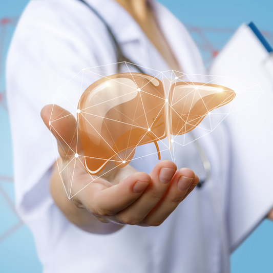 כבד שומני – טיפול טבעי עם ליקוריץ פורמולה לניקוי רעלים